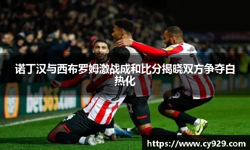 诺丁汉与西布罗姆激战成和比分揭晓双方争夺白热化