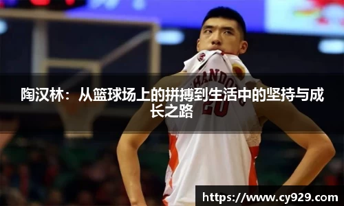 JJB竞技宝官网