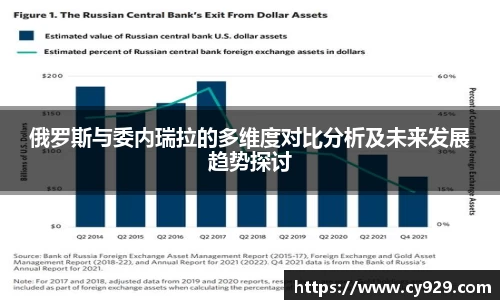 俄罗斯与委内瑞拉的多维度对比分析及未来发展趋势探讨